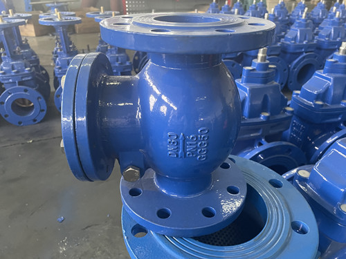 德標(biāo)F6旋啟止回閥